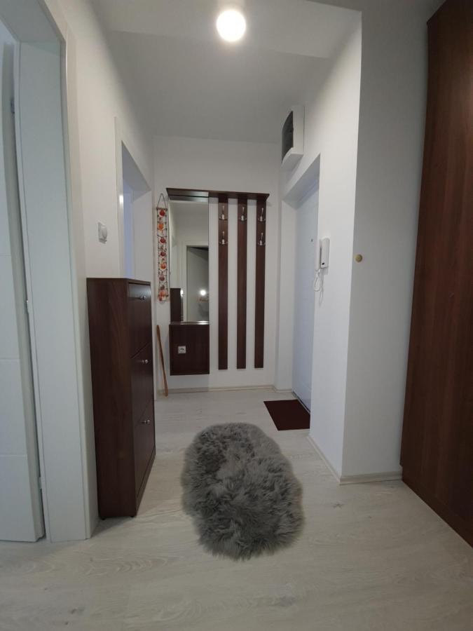 Apartman Kerkez Sokobanja Zewnętrze zdjęcie